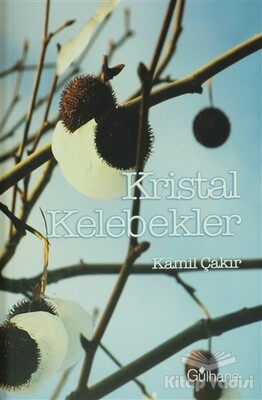 Kristal Kelebekler - Gülhane Yayınları