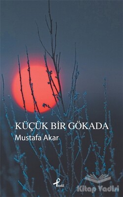 Küçük Bir Gökada - Profil Kitap