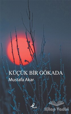 Küçük Bir Gökada - Profil Kitap