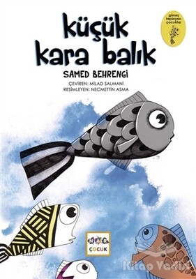 Küçük Kara Balık - Nar Yayınları