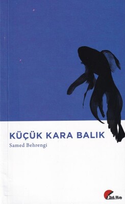 Küçük Kara Balık - Divit Kitap