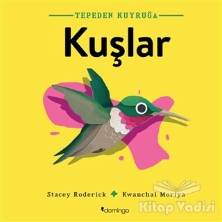 Kuşlar - Tepeden Kuyruğa - Domingo Yayınevi