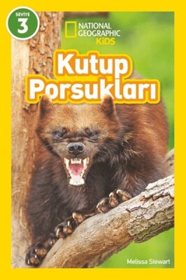 Kutup Porsukları - National Geographic Kids - Beta Kids