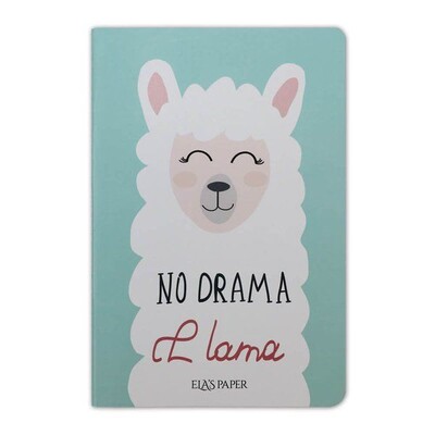 Lama Notebook Su Yeşili - Defter - Ela's Paper