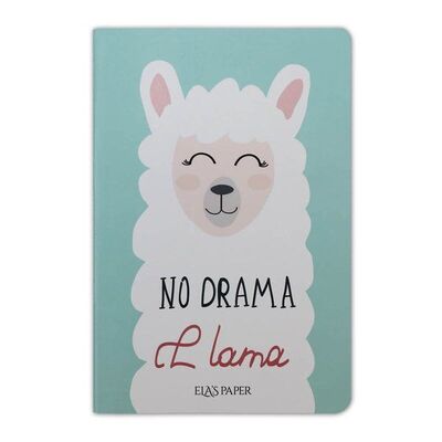 Lama Notebook Su Yeşili - Defter - 1