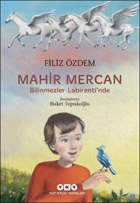 Mahir Mercan - Bilinmezler Labirenti’nde - Yapı Kredi Yayınları