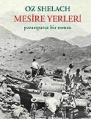 Mesire Yerleri / Paramparça Bir Roman - Metis Yayınları