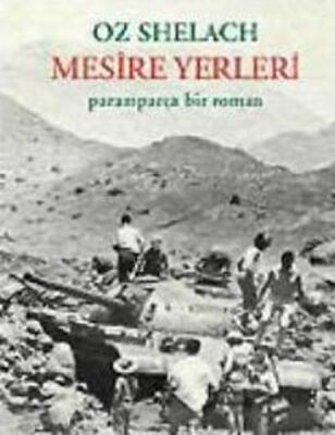 Mesire Yerleri / Paramparça Bir Roman - 1