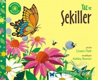 Mevsimlerle Matematik 4: Yaz ve Şekiller - Mavi Kelebek Yayınları