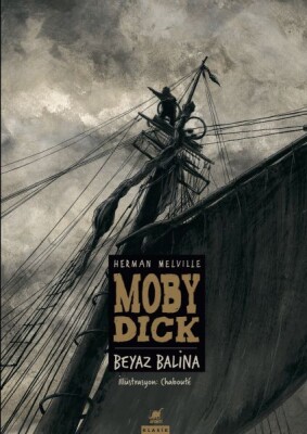 Moby Dick - Beyaz Balina - Ayrıntı Yayınları