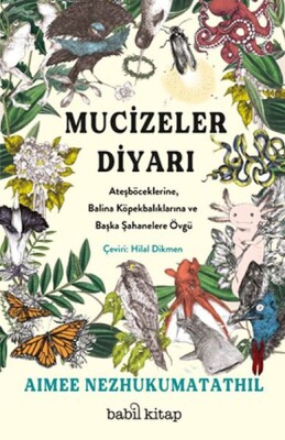 Mucizeler Diyarı - Babil Kitap