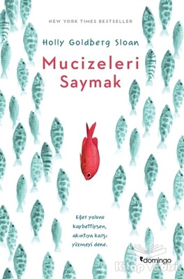 Mucizeleri Saymak - Domingo Yayınevi