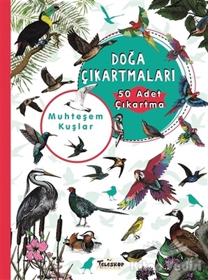 Muhteşem Kuşlar Doğa Çıkartmaları - Teleskop