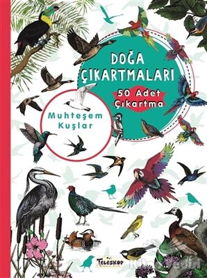 Muhteşem Kuşlar Doğa Çıkartmaları - 1