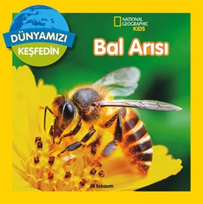 National Geographic Kids - Dünyanızı Keşfedin Bal Arısı - Beta Kids