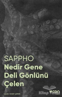 Nedir Gene Deli Gönlünü Çelen (Fotoğraflı Klasikler) - 1