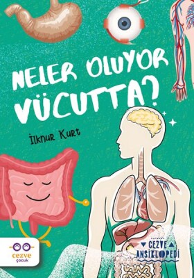 Neler Oluyor Vücutta ? – Cezve Ansiklopedi - Cezve Kitap