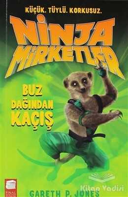 Ninja Mirketler - Buz Dağından Kaçış - Final Kültür Sanat Yayınları