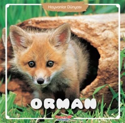 Orman - Hayvanlar Dünyası - 1