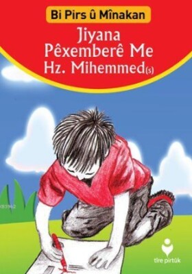 Peşdibistan Pırtuka Boyaxkırıne - Tire Kitap