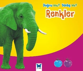 Renkler / Doğru mu Yanlış mı? - Mavi Kelebek Yayınları