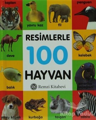 Resimlerle 100 Hayvan (Küçük Boy) - 1