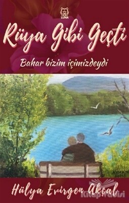 Rüya Gibi Geçti - Luna Yayınları