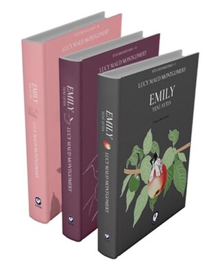 Rüzgârın Kızı Emily Serisi (3 Kitap) - Cem Yayınevi