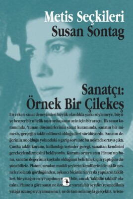 Sanatçı Örnek Bir Çilekeş - Metis Yayınları