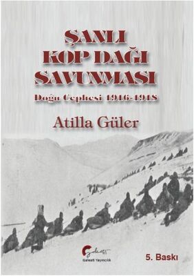 Şanlı Kop Dağı Savunması, Doğu Cephesi, 1916-1918 - 1