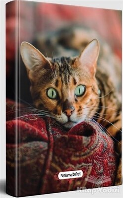 Şaşkın Kedi - Planlama Defteri - Halk Kitabevi (Hobi)