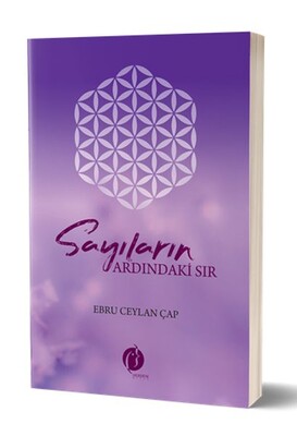 Sayıların Ardındaki Sır - Herdem Kitap