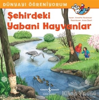 Şehirdeki Yabani Hayvanlar - Dünyayı Öğreniyorum - İş Bankası Kültür Yayınları