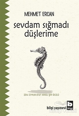 Sevdam Sığmadı Düşlerime - Bilgi Yayınevi