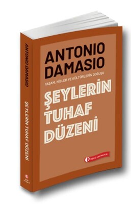 Şeylerin Tuhaf Düzeni - Odtü Yayınları