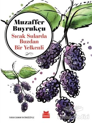 Sıcak Sularda Buzdan Bir Yelkenli - 1