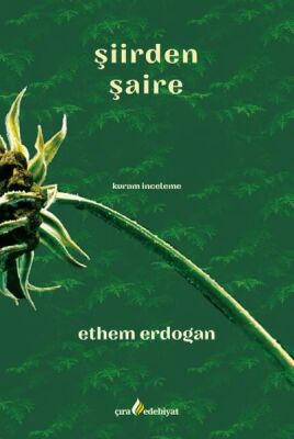 Şiirden Şaire - 1