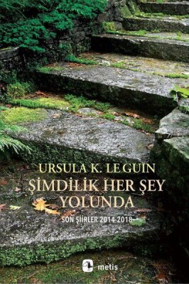 Şimdilik Her Şey Yolunda - Son Şiirler 2014-2018 - Metis Yayınları