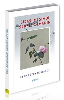 Sırası Mı Şimdi Sensiz Olmanın - Alternatif Yayıncılık