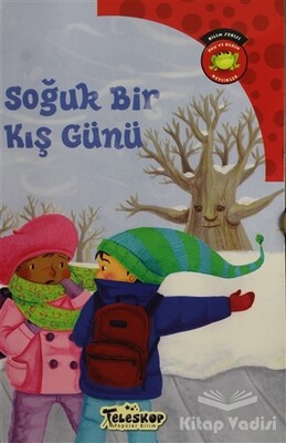 Soğuk Bir Kış Günü - Teleskop