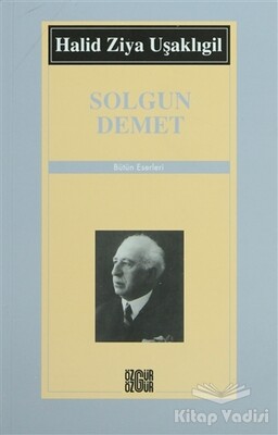 Solgun Demet - Özgür Yayınları