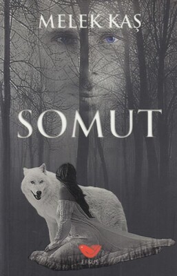 Somut - Efsus Yayınları