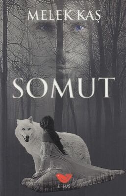 Somut - 1