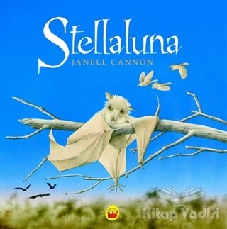 Stellaluna - Kuraldışı Yayınları