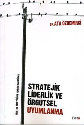 Stratejik Liderlik ve Örgütsel Uyumlanma - 1