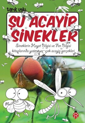 Şu Acayip Sinekler - Uğurböceği Yayınları