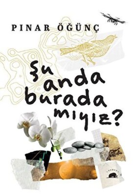 Şu Anda Burada Mıyız? - Kolektif Kitap