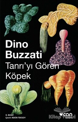 Tanrıyı Gören Köpek - Can Sanat Yayınları