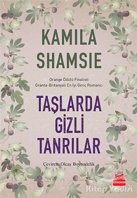 Taşlarda Gizli Tanrılar - Kırmızı Kedi Yayınevi