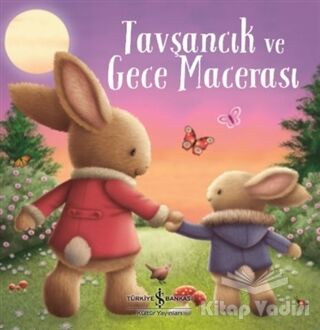 Tavşancık ve Gece Macerası - 1